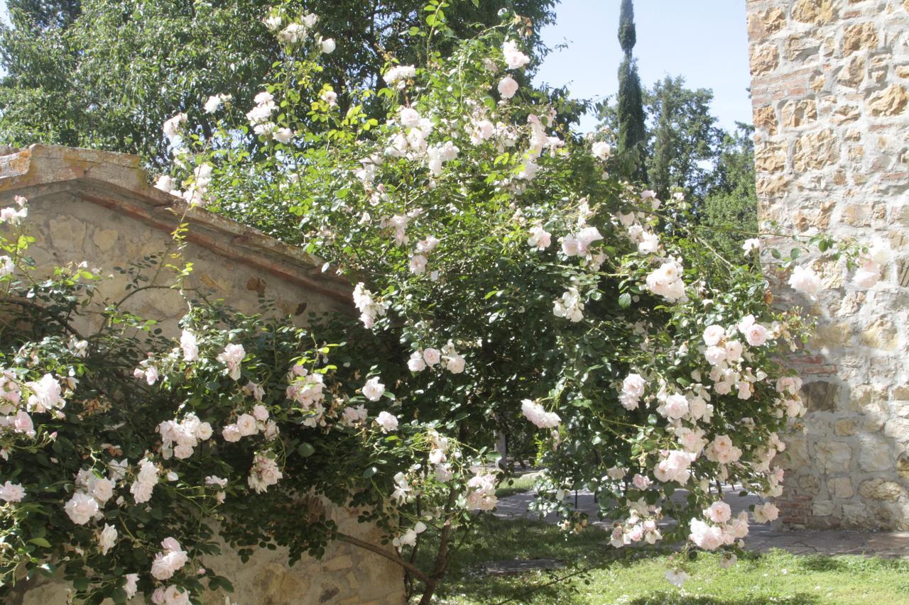 I Pianelli Villa Murlo Exterior photo